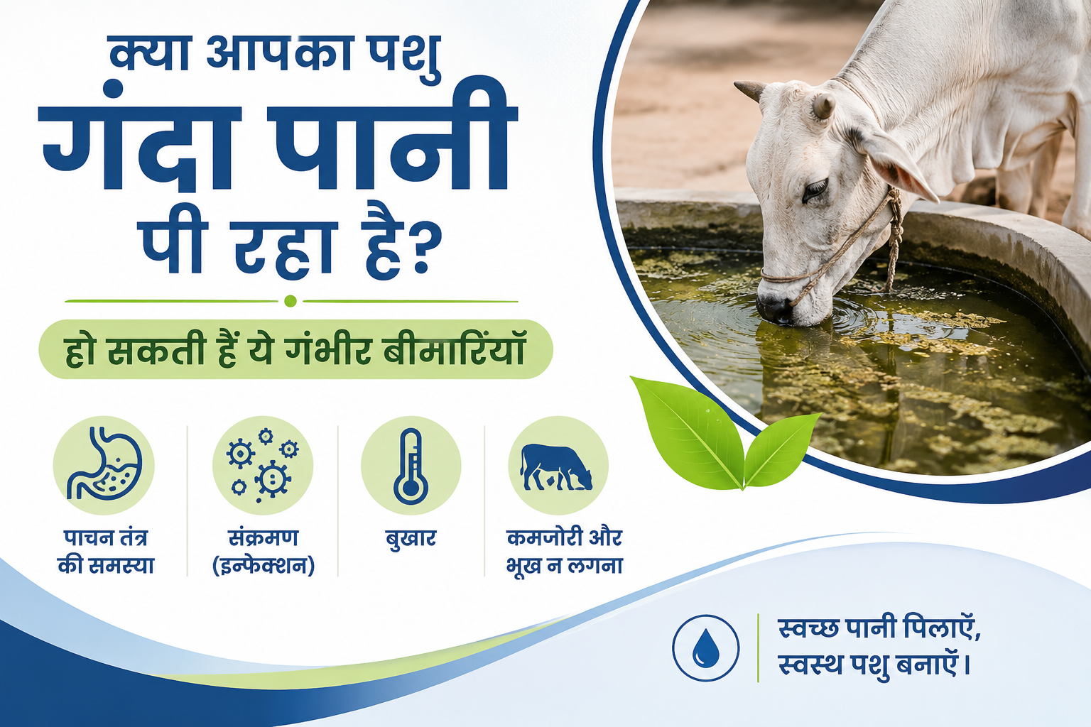 क्या आपका पशु गंदा पानी पी रहा है? हो सकती हैं ये गंभीर बीमारियाँ